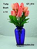 Tulip Bush x 14 ( $4.40 )